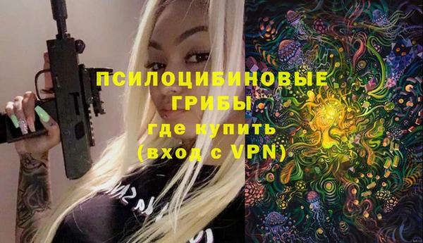 мдпв Абдулино