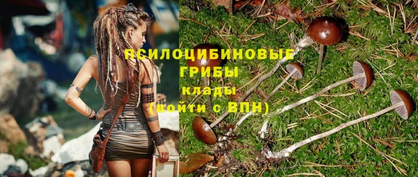 марихуана Абаза