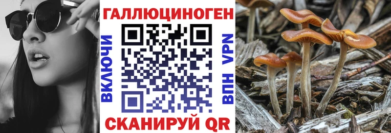 Псилоцибиновые грибы прущие грибы  Богородск 